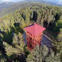Drewniana wieża widokowa w Beskidzie Sądeckim, otoczona gęstym lasem iglastym, zaprasza do podziwiania panoramy.