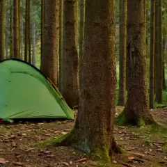 Zielony namiot i rowery czekają na nocne spanie w lesie. Otoczone przez wysokie drzewa, tworzą idealne miejsce na przygodę.