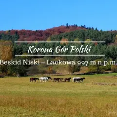 Jesień w Beskidzie Niskim, na Lackowej. Stado koni pasie się na łące u podnóża góry, w tle kolorowe drzewa.