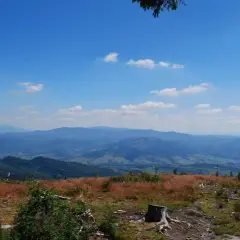 Widok z **barania góra schronisko** na pasmo górskie w oddali. Na pierwszym planie sucha trawa i pnie drzew.