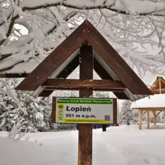 Zimowe atrakcje Beskidu Wyspowego: tablica na szczycie Łopień (951 m n.p.m.) i drewniana wiata pośród ośnieżonych drzew.