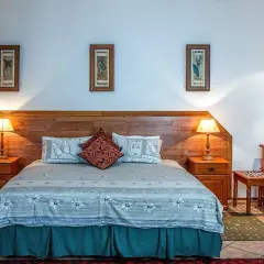 Przytulny pokój hotelowy z dużym łóżkiem, nocnymi stolikami i toaletką. Różne rodzaje pokoi hotelowych oferują komfort i styl.