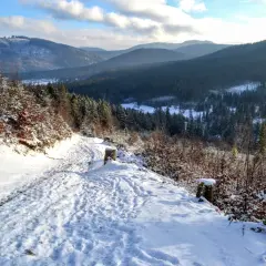 Śnieżna droga prowadzi do wielkiej rycerzowej schronisko, otoczonej zimowym lasem i górami.