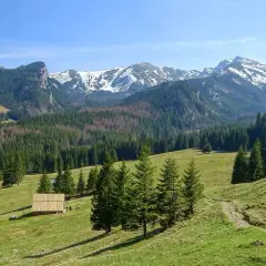 Zielone łąki i lasy Tatr Słowackich, idealne na łatwe szlaki. W oddali ośnieżone szczyty.