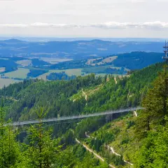 Widok na najdłuższy most w Czechach, zawieszony nad zieloną doliną pełną drzew. W oddali widać wieżę widokową.