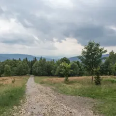 Kamienista ścieżka prowadzi przez trawiaste zbocze ku lasowi. To idealna trasa na spacer po hrobaczej łące, z widokiem na górzyste pasma w oddali.