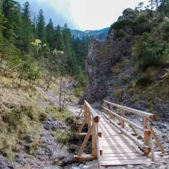 Drewniany mostek w Dolinie Białego, Zakopane. Ścieżka wśród skał i zieleni prowadzi w góry.