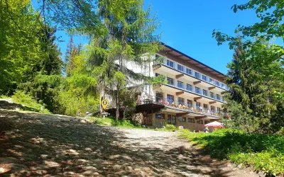 Kamienista droga prowadzi do hotelu na przysłopie pod Baranią Górą. Wokół bujna zieleń i błękitne niebo.