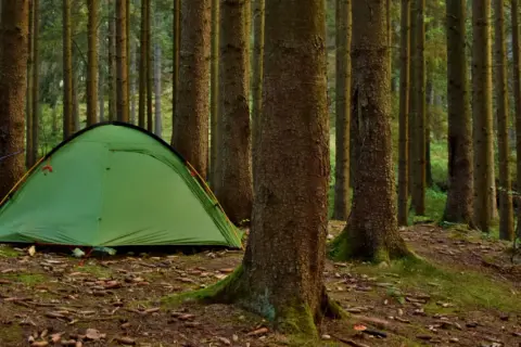 Zielony namiot i rowery czekają na nocne spanie w lesie. Otoczone przez wysokie drzewa, tworzą idealne miejsce na przygodę.