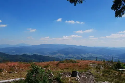 Widok z **barania góra schronisko** na pasmo górskie w oddali. Na pierwszym planie sucha trawa i pnie drzew.
