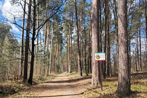 Ścieżka w lesie sosnowym, idealne miejsce na spacer w majówkę. Tabliczka ostrzega przed pożarem.