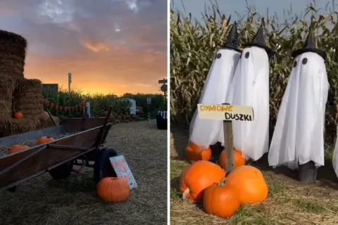 Jesienna farma dyniowa w Krakowie. Stogi siana, wóz z dyniami i straszne duszki w kukurydzy.