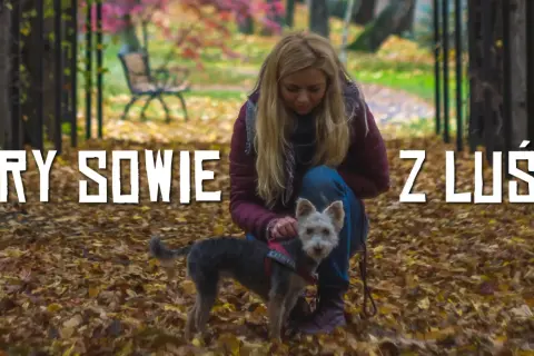 Kobieta z psem na tle jesiennego parku, pokrytego liśćmi.