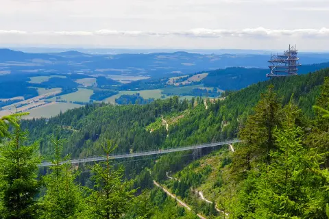 Widok na najdłuższy most w Czechach, zawieszony nad zieloną doliną pełną drzew. W oddali widać wieżę widokową.