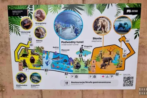 Mapa największego oceanarium w Polsce w Łodzi. Zobacz orangutany, słonie, pingwiny i podwodny tunel.