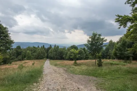 Kamienista ścieżka prowadzi przez trawiaste zbocze ku lasowi. To idealna trasa na spacer po hrobaczej łące, z widokiem na górzyste pasma w oddali.