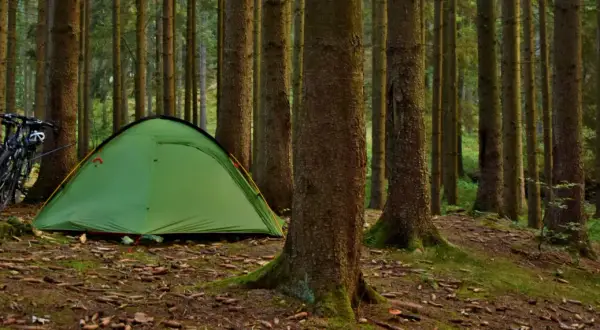 Zielony namiot i rowery czekają na nocne spanie w lesie. Otoczone przez wysokie drzewa, tworzą idealne miejsce na przygodę.