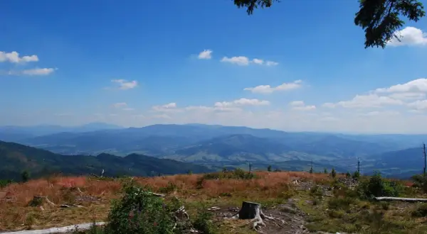 Widok z **barania góra schronisko** na pasmo górskie w oddali. Na pierwszym planie sucha trawa i pnie drzew.