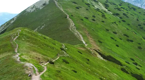 Wędrówka po zielonych zboczach Tatr Zachodnich. Kręta ścieżka prowadzi przez trawiaste połoniny, a w oddali widać skaliste szczyty.