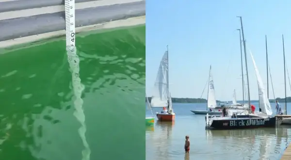 Miarka zanurzona w krystalicznie czystej wodzie, która może być najczystsze jezioro w Polsce. W tle żaglówki cumujące przy pomoście.
