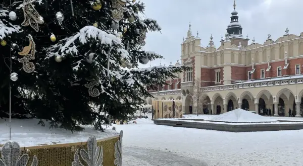 Świąteczna choinka na Rynku Głównym w Krakowie, zimą. W tle Sukiennice. Piękne kraków atrakcje zimą.