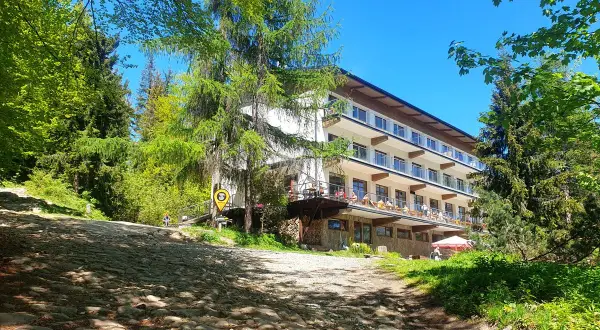 Kamienista droga prowadzi do hotelu na przysłopie pod Baranią Górą. Wokół bujna zieleń i błękitne niebo.