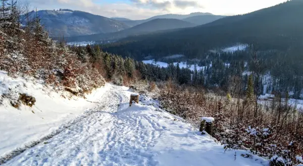 Śnieżna droga prowadzi do wielkiej rycerzowej schronisko, otoczonej zimowym lasem i górami.