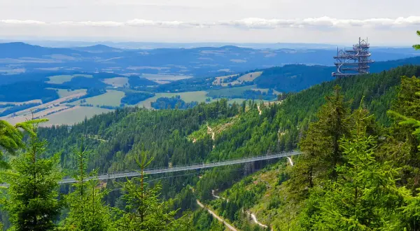 Widok na najdłuższy most w Czechach, zawieszony nad zieloną doliną pełną drzew. W oddali widać wieżę widokową.