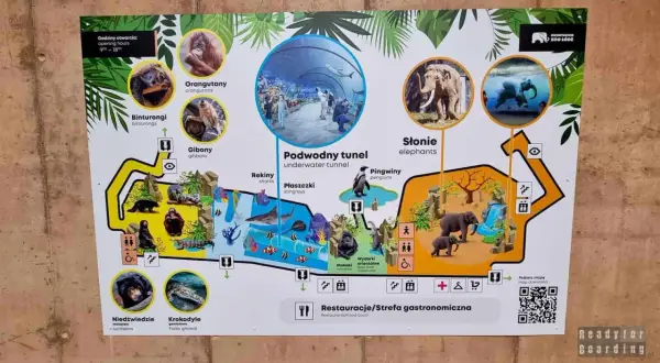 Mapa największego oceanarium w Polsce w Łodzi. Zobacz orangutany, słonie, pingwiny i podwodny tunel.
