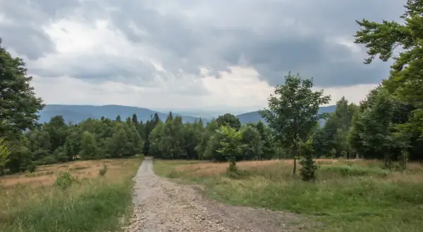 Kamienista ścieżka prowadzi przez trawiaste zbocze ku lasowi. To idealna trasa na spacer po hrobaczej łące, z widokiem na górzyste pasma w oddali.