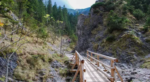 Drewniany mostek w Dolinie Białego, Zakopane. Ścieżka wśród skał i zieleni prowadzi w góry.