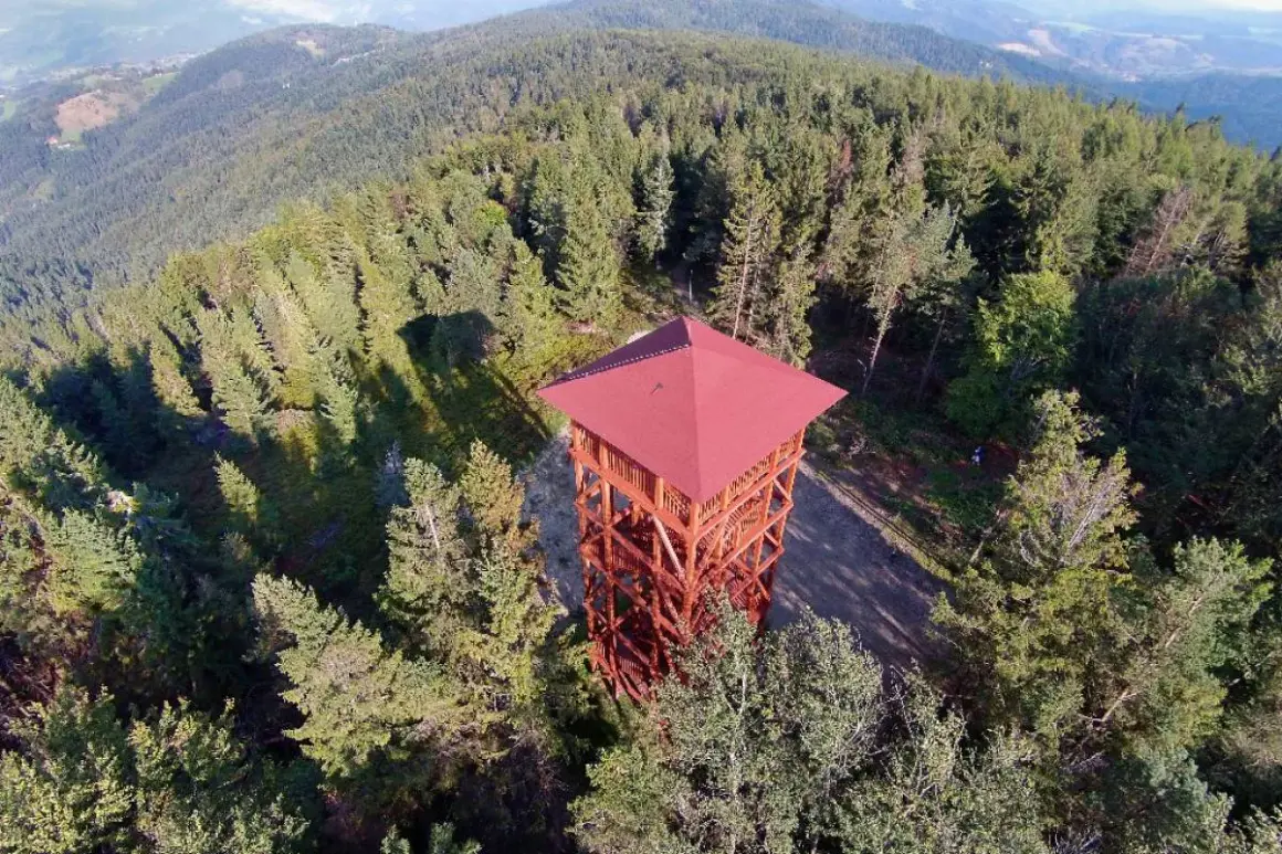 Drewniana wieża widokowa w Beskidzie Sądeckim, otoczona gęstym lasem iglastym, zaprasza do podziwiania panoramy.