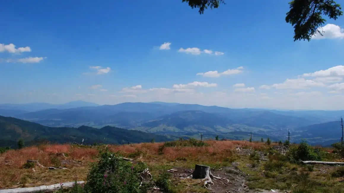 Widok z **barania góra schronisko** na pasmo górskie w oddali. Na pierwszym planie sucha trawa i pnie drzew.