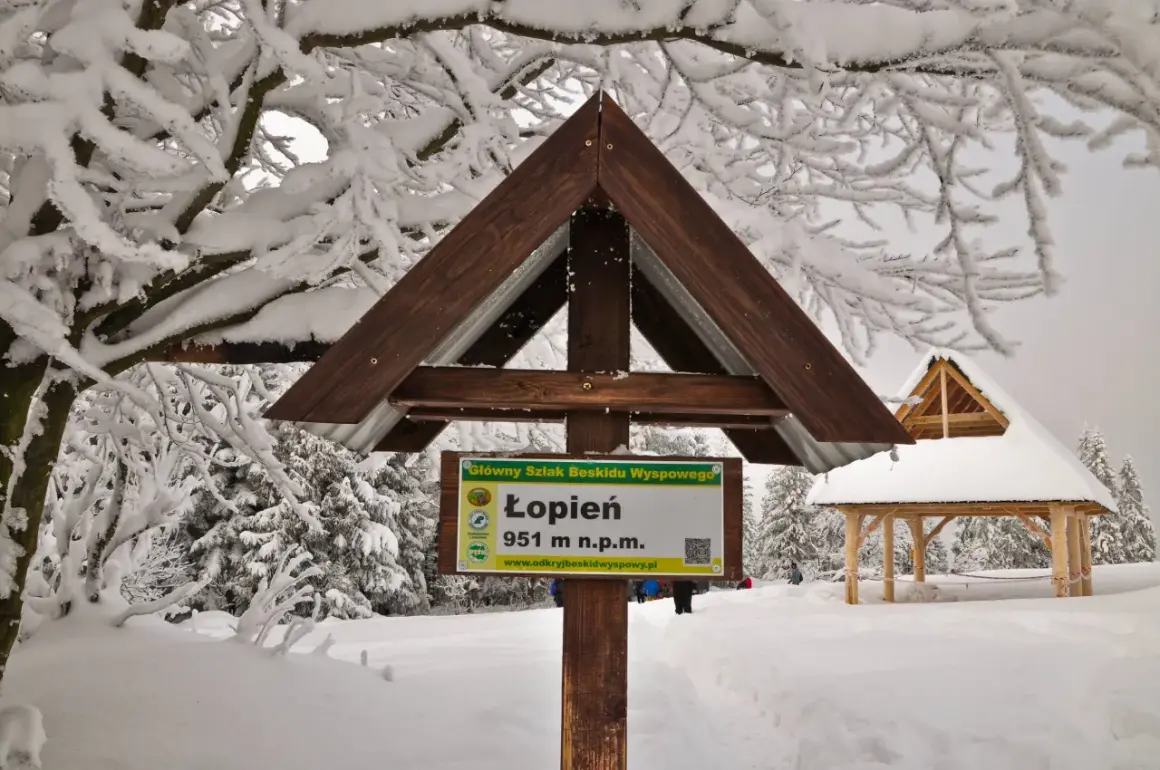 Zimowe atrakcje Beskidu Wyspowego: tablica na szczycie Łopień (951 m n.p.m.) i drewniana wiata pośród ośnieżonych drzew.