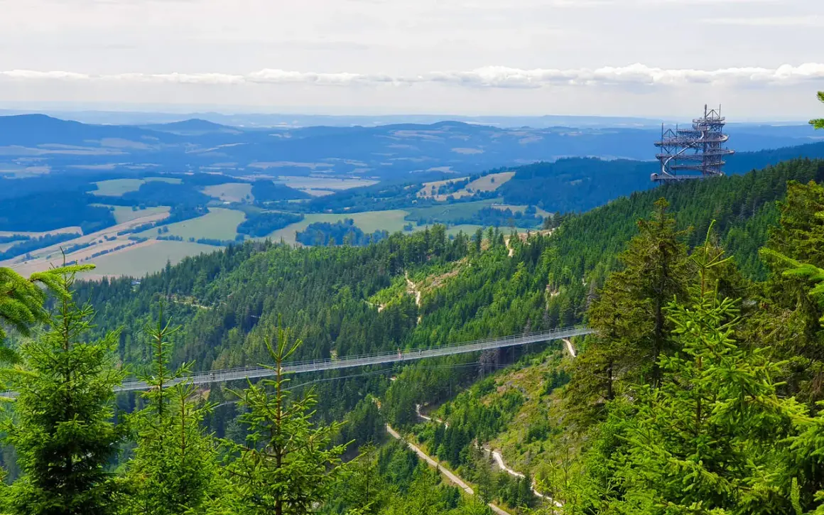 Widok na najdłuższy most w Czechach, zawieszony nad zieloną doliną pełną drzew. W oddali widać wieżę widokową.