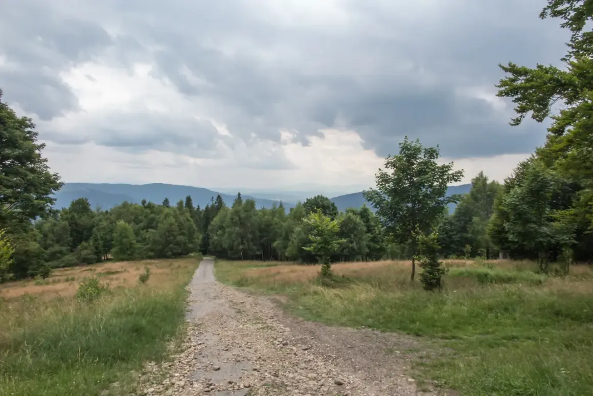 Kamienista ścieżka prowadzi przez trawiaste zbocze ku lasowi. To idealna trasa na spacer po hrobaczej łące, z widokiem na górzyste pasma w oddali.