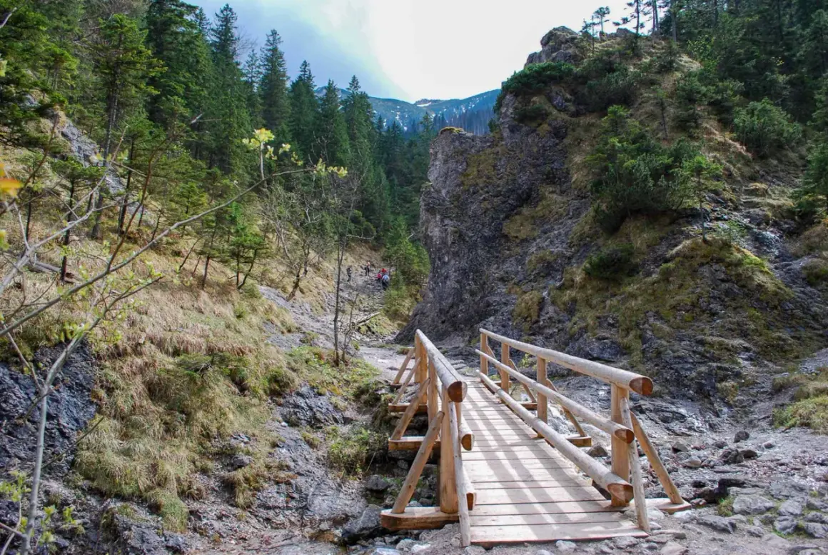 Drewniany mostek w Dolinie Białego, Zakopane. Ścieżka wśród skał i zieleni prowadzi w góry.