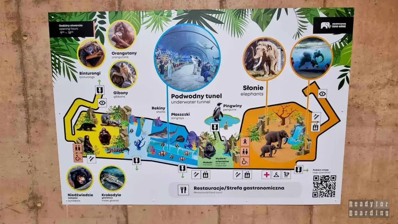 Orientarium ZOO Łódź - co zobaczysz i ile czasu warto zaplanować