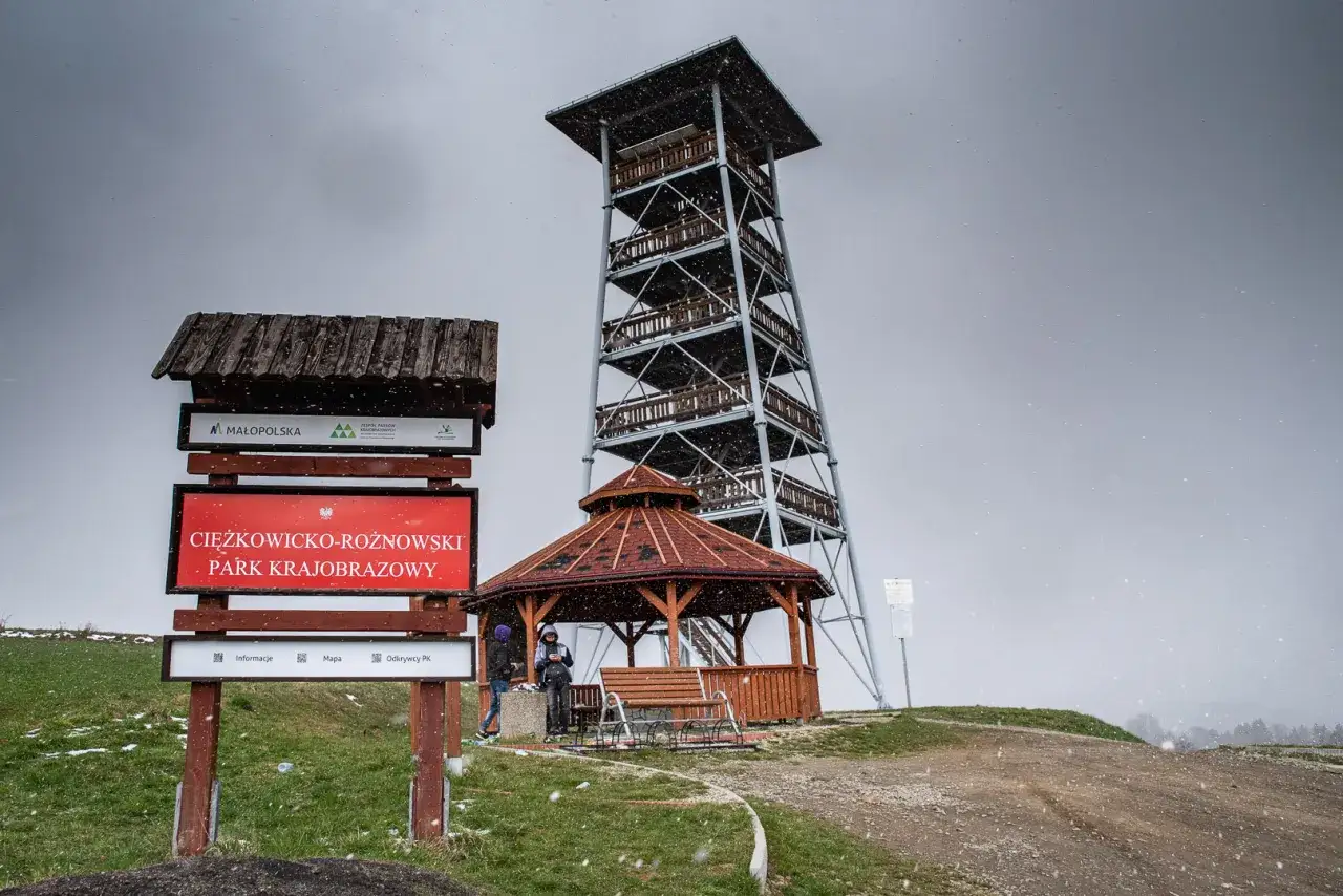 Wieża widokowa w Ciężkowicko-Rożnowskim Parku Krajobrazowym. W tle szary, śnieżny dzień.