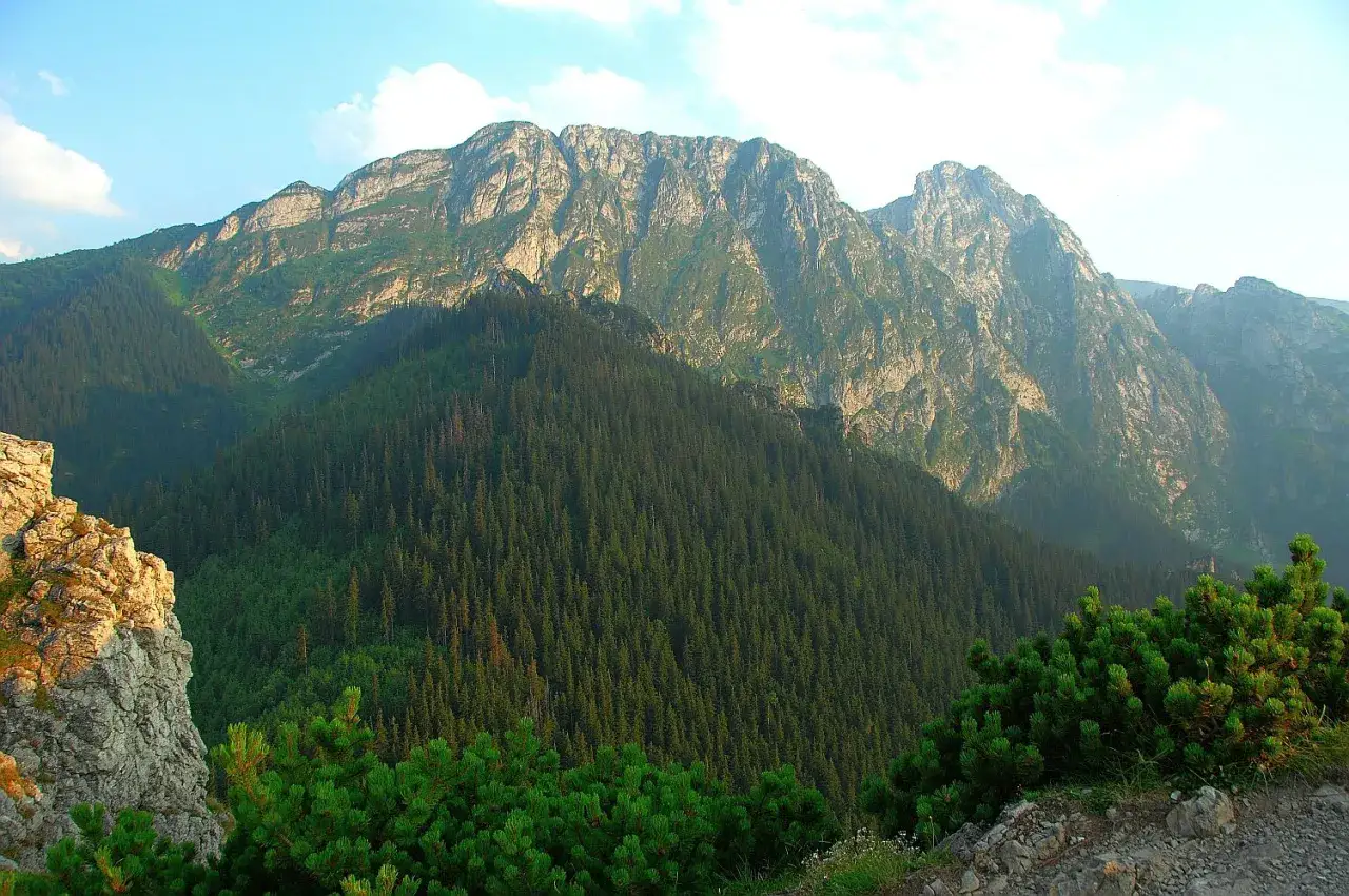 Piękny widok na Tatry, idealny na spacer. Jak dojechać do Doliny Strążyskiej? Szlak zaczyna się w Zakopanem.
