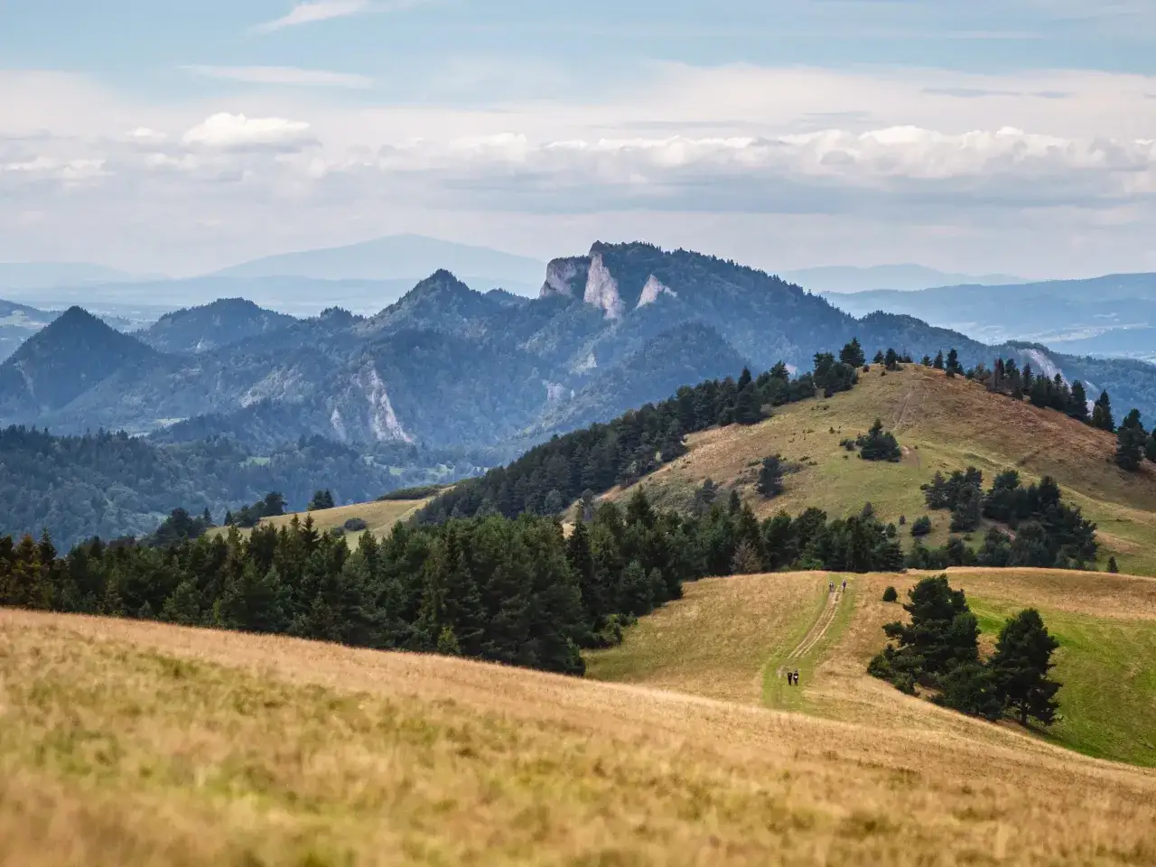 Szczawnica jakie to góry? Pieniny z Trzema Koronami i skalistymi zboczami, porośnięte lasami i trawami, z widokiem na kolejne pasma górskie.
