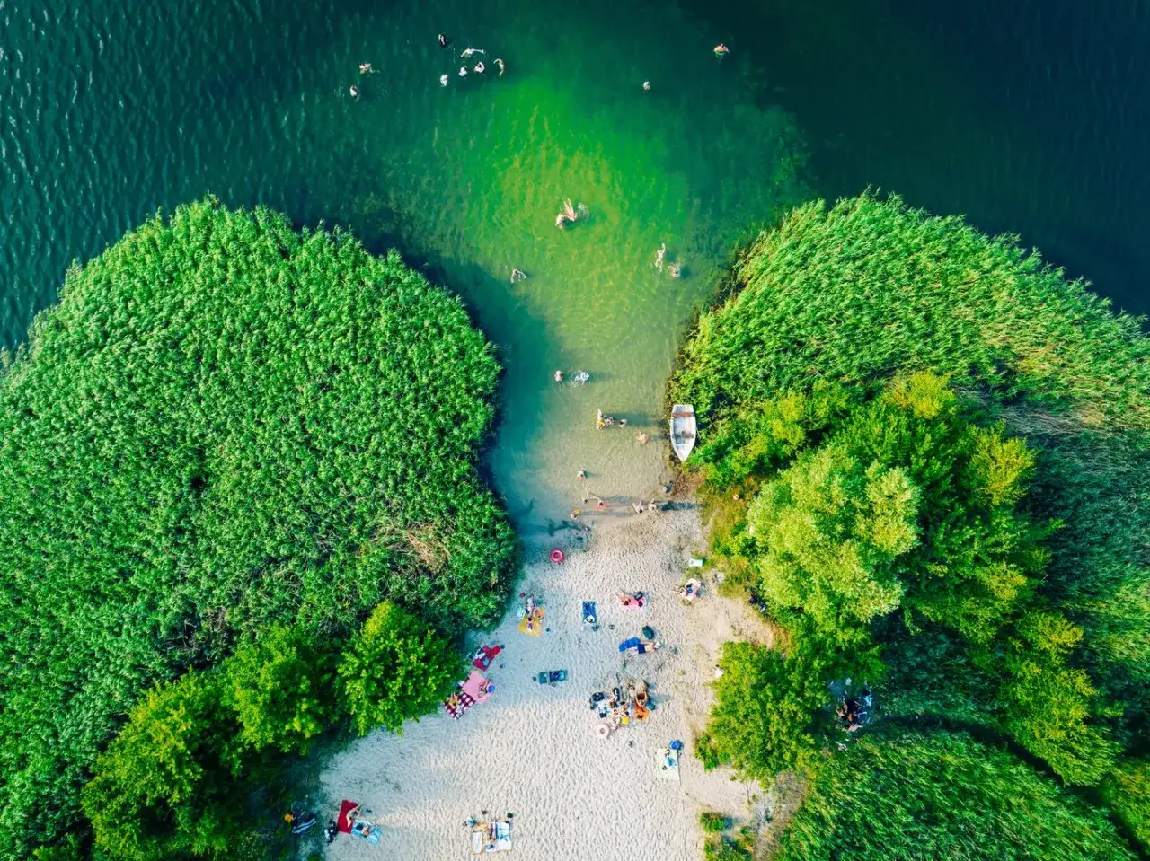 Letnie popołudnie nad jeziorem w Polsce. Ludzie kąpią się w zielonej wodzie, odpoczywają na piaszczystej plaży wśród trzcin i drzew.