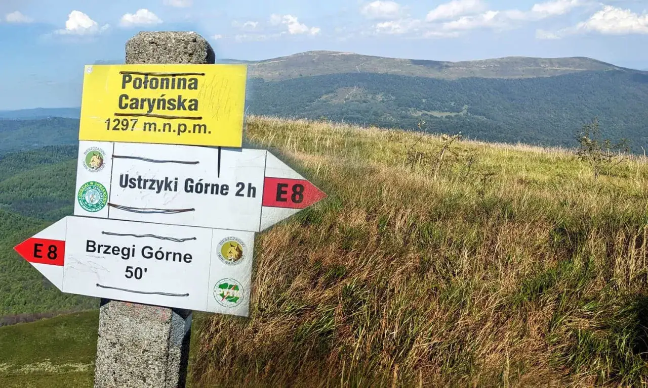 Połonina Caryńska, 1297 m n.p.m. Znaki wskazują trasę na Ustrzyki Górne (2h) i Brzegi Górne (50').