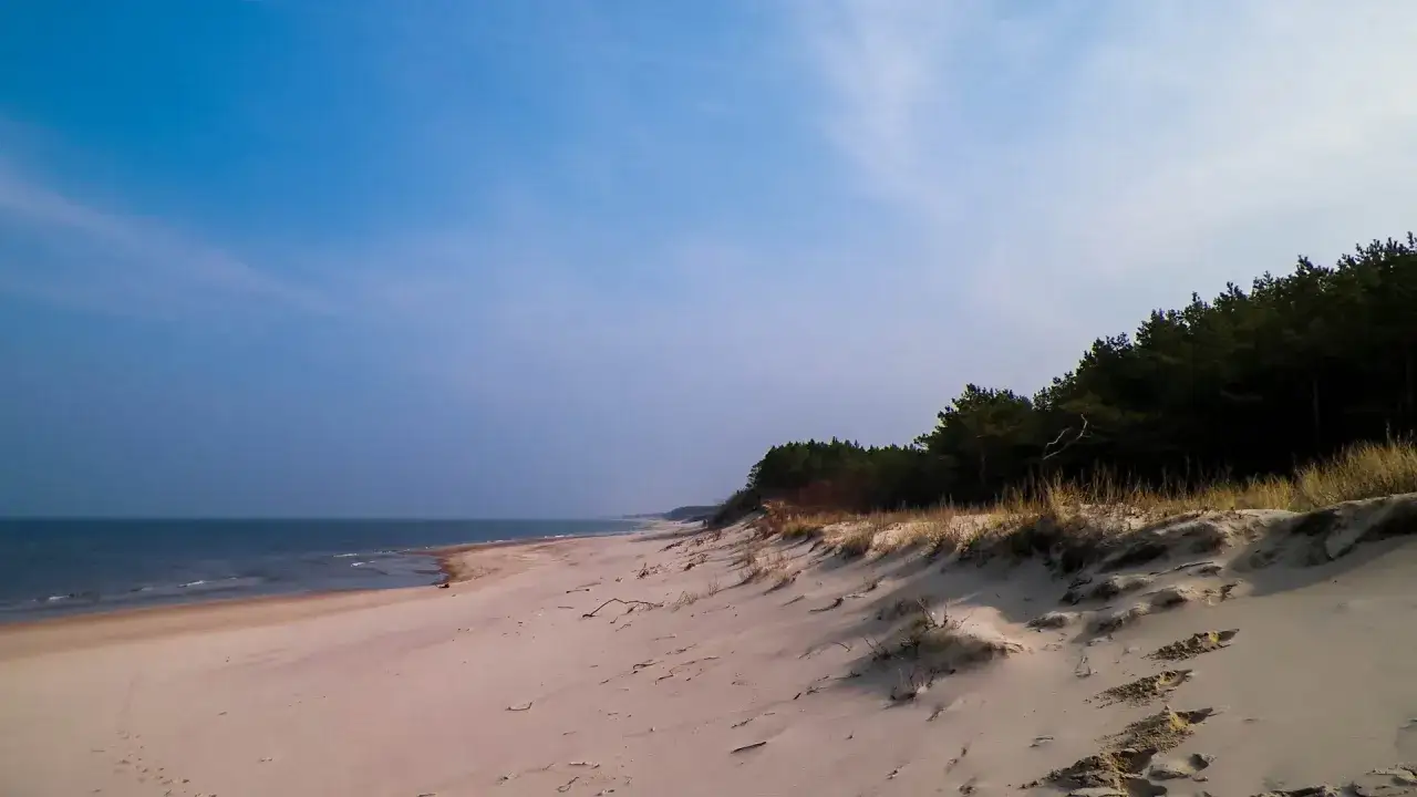 Piękna, piaszczysta plaża z lasem sosnowym w tle. Idealne miejsca na wakacje z dzieckiem godne polecenia, gdzie można odpocząć i cieszyć się naturą.