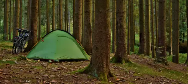 Zielony namiot i rowery czekają na nocne spanie w lesie. Otoczone przez wysokie drzewa, tworzą idealne miejsce na przygodę.