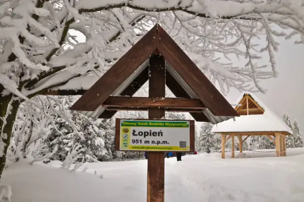 Zimowe atrakcje Beskidu Wyspowego: tablica na szczycie Łopień (951 m n.p.m.) i drewniana wiata pośród ośnieżonych drzew.