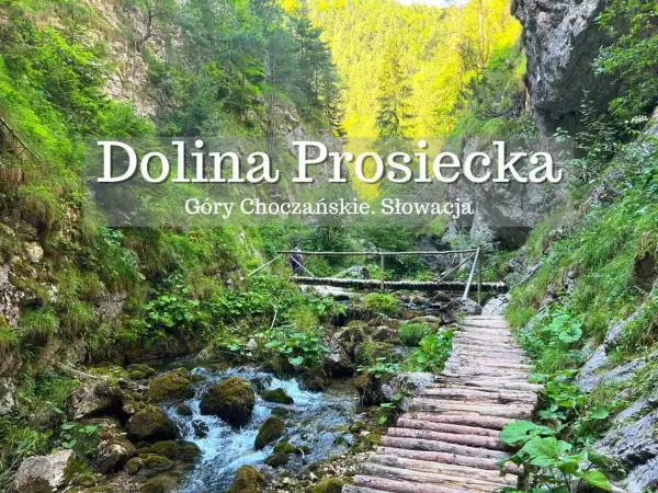 Malownicza ścieżka przez **Dolinę Prosiecką i Kwaczańską** w Górach Choczańskich. Kamienisty potok, drewniany mostek i bujna zieleń.
