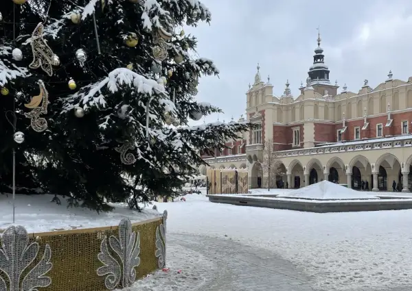 Świąteczna choinka na Rynku Głównym w Krakowie, zimą. W tle Sukiennice. Piękne kraków atrakcje zimą.