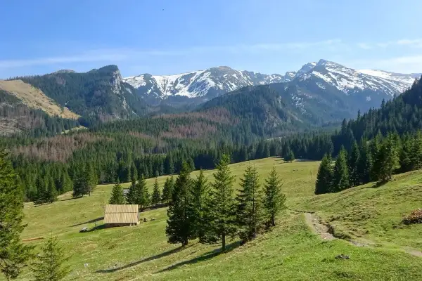 Zielone hale i lasy w Tatrach, z widokiem na ośnieżone szczyty. Idealne miejsce na łatwe szczyty w Tatrach.