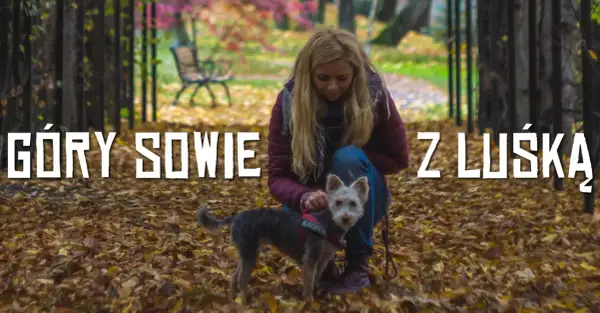 Kobieta z psem na tle jesiennego parku, pokrytego liśćmi.